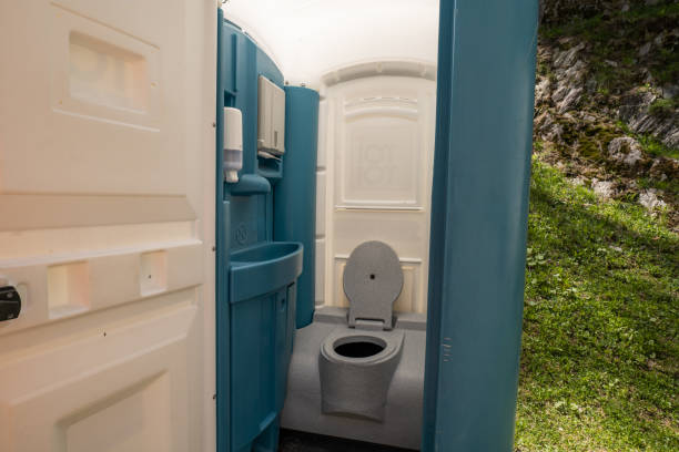 Best Portable Toilets with Baby Changing Stations  in Lake In The Hls, IL